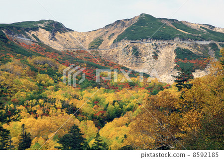 典倉高原 8592185