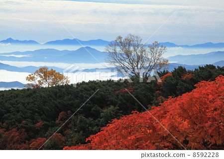 Norikura Kogen 8592228