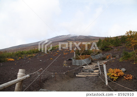 Mt. Fuji 5th consecutive eyes 8592910