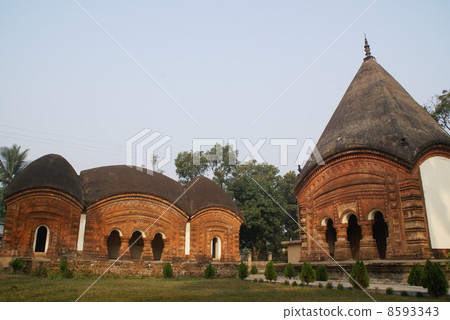 Petitia的遺骸 Petitia的遺骸 8593343