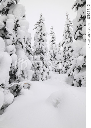 winter mountain winter mountain 8593842