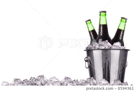 Beer bottles in ice bucket isolated Beer bottles in ice bucket isolated 8594361