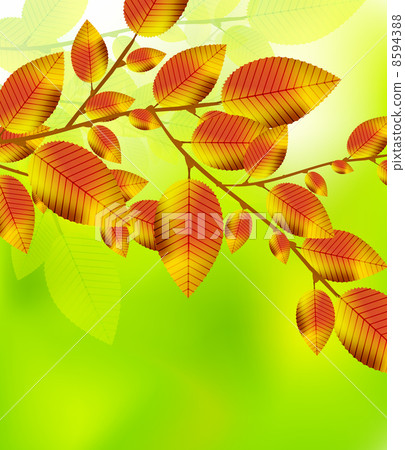 Autumn leaves background Autumn leaves background 8594388