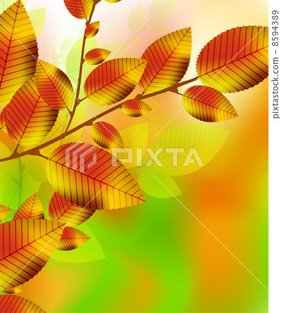 Autumn leaves background 8594389