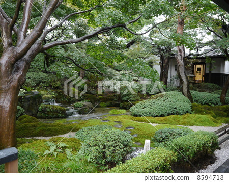 Izumisutei's garden 8594718