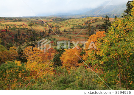 Mt. Tateyama Midagahara in autumn 8594926