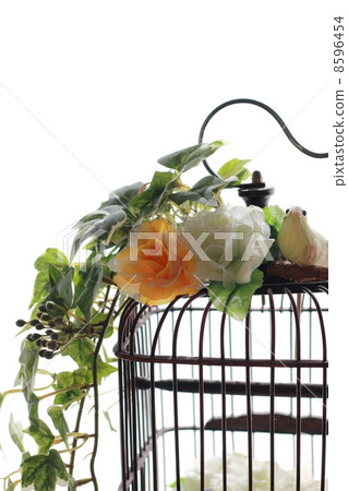 birdcage, white background, interior 8596454