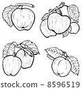 Hand drawn apples 8596519
