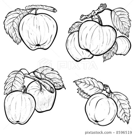 Hand drawn apples 8596519