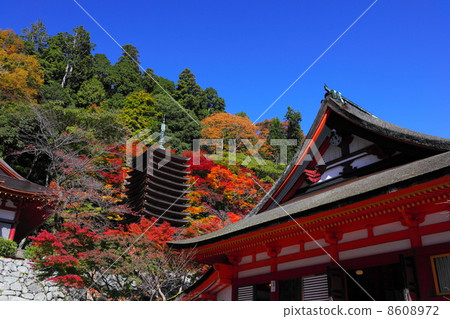 秋葉白山神社 8608972