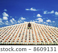 Okinawa Kohamajima Seisa and red tile roof 8609131