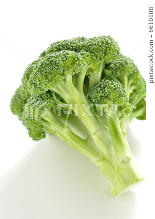 broccoli broccoli 8610108