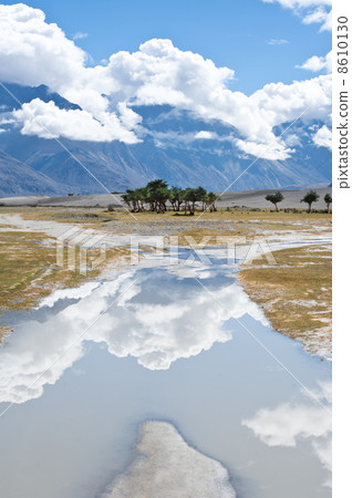 Sunny day at Nubra Valley. India, Ladakh 8610130