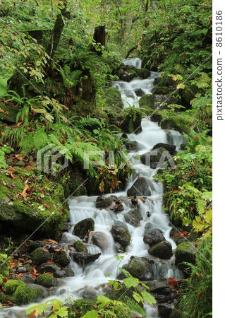 Oirase stream 8610186