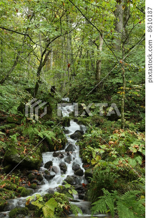 Okuse in the waterfall Okuse in the waterfall 8610187