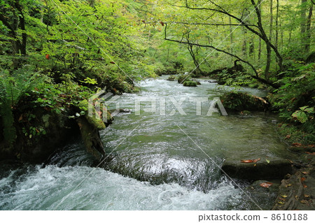 Oirase stream 8610188