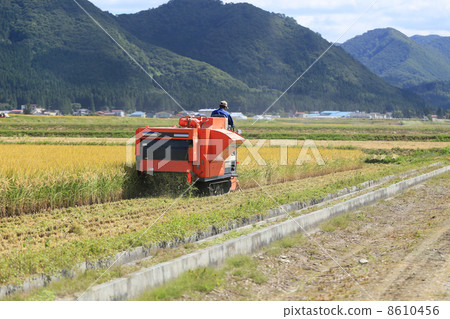 Harvest scenery 8610456