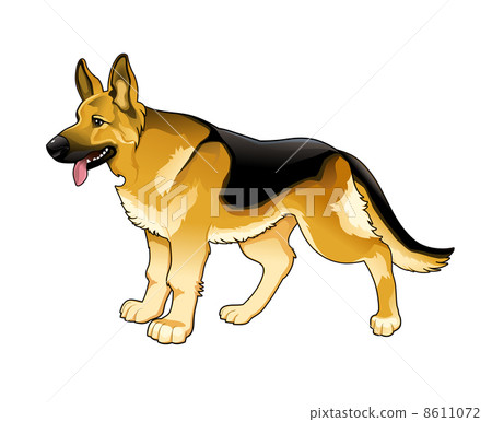 German Shepherd. 8611072