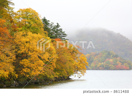 中禪寺湖 8611488