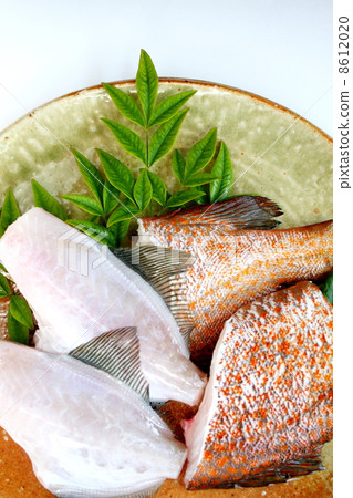 魚為了烹飪而減肥 8612020