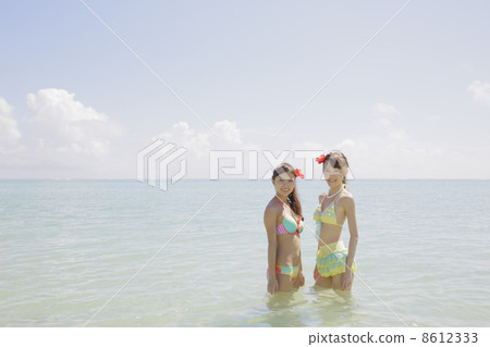 Women on the beach 8612333