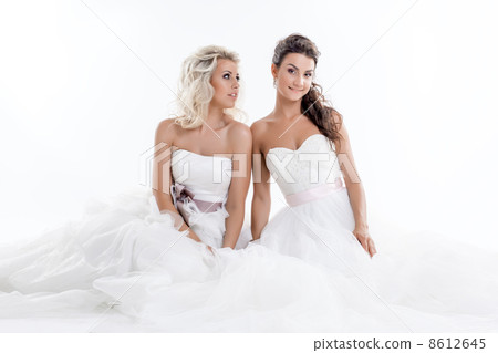 Two smiling young brides isolated on white 8612645