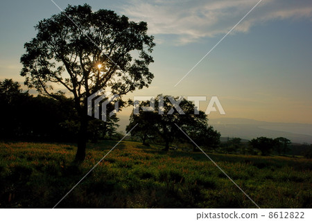 Dusk ranch in the evening 8612822