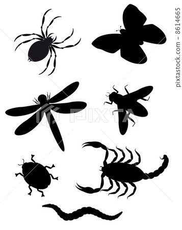 beetles and insects silhouette beetles and insects silhouette 8614665