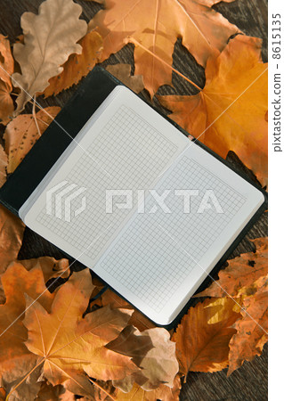 Autumn 8615135