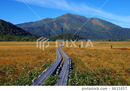 秋天的Oze和秋天的秋天和佛山的Oze 8615857