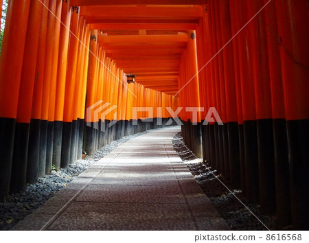 World Heritage · Kyoto · Fushimi Inari Shrine 8616568