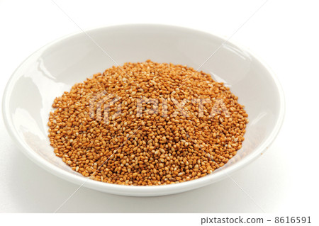 Roasted gold sesame 8616591
