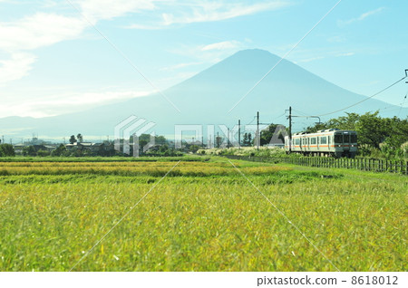 秋天的富士山和御殿場線的田園風光 秋天的富士山和御殿場線的田園風光 8618012