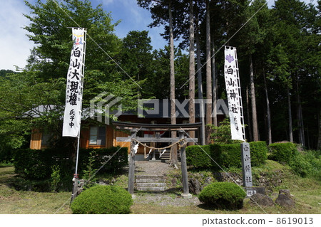 Kaeda Takahara Hakusan Shrine Kaeda Takahara Hakusan Shrine 8619013