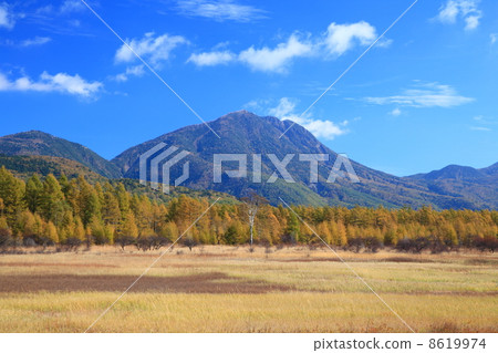 Odashiroagahara的秋天 8619974