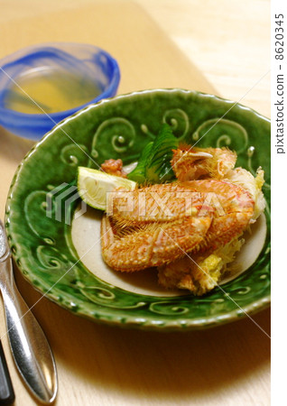 發蟹 發蟹 8620345