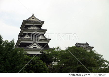 小津城堡 8620505