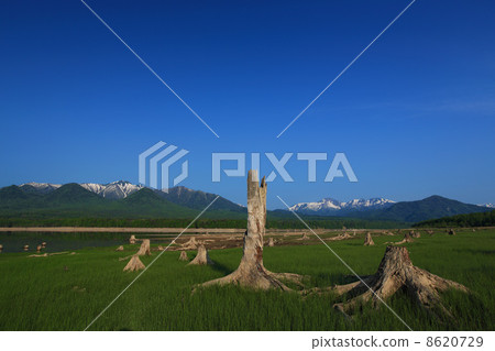 藍天和春天Breping湖 8620729