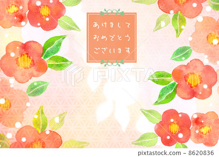 山茶花賀卡 山茶花賀卡 8620836