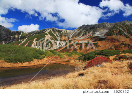 Autumn's Tateyama Muro-do 8620852