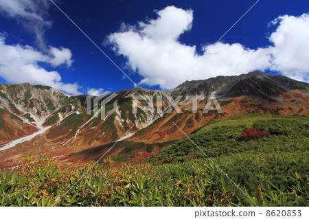 Autumn's Tateyama Muro-do 8620853