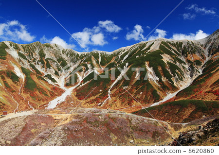 Autumn's Tateyama Muro-do 8620860
