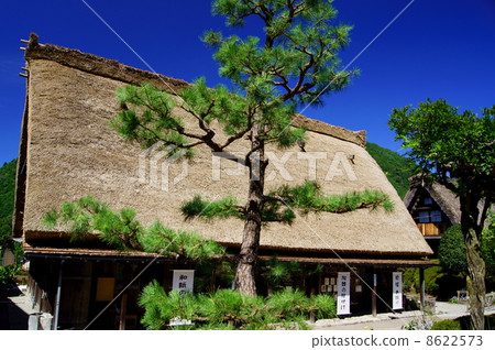 Gifu village Gifu prefecture The Historic Villages of Shirakawa-go in Gifu Prf. 8622573
