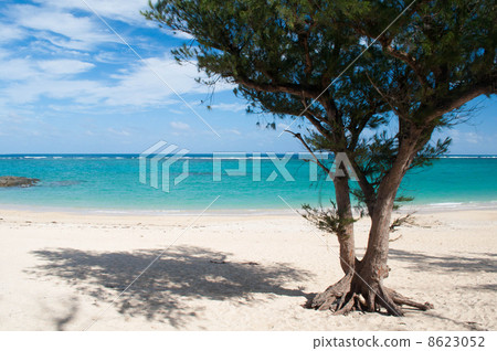 Okinawa's Ocean Higashimura Uppama Beach 8623052