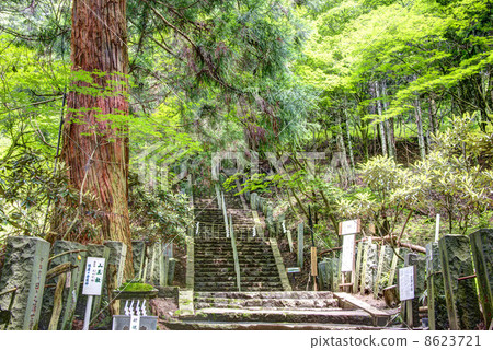 Nikko Haruyama Shrine Nakajima Shrine 8623721