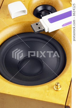 loudspeaker and usb key loudspeaker and usb key 8624125