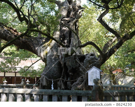 Oyama god shrine Oyama god shrine 8624230