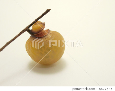 Mukuroji fruit 8627543