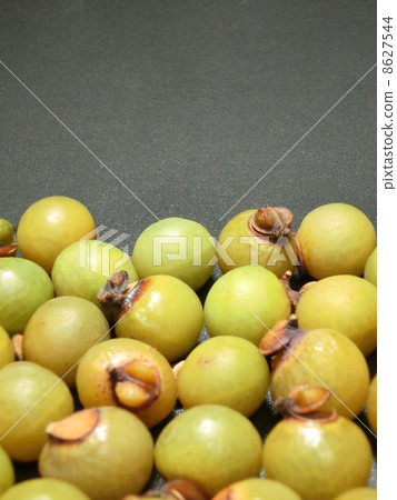 骸車果 骸車果 8627544