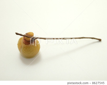 Mukuroji fruit Mukuroji fruit 8627545